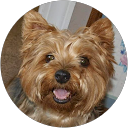 Gina Burns profile picture